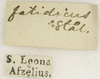 CollectionObject 1529751; 1255e2bd-868d-4468-ba24-8eb355a12ced: labels (holotype). (CollectionObject).