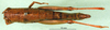 CollectionObject 1501081; e12d457f-66db-433e-948f-388fa99e9df8: female, dorsal view (holotype). (CollectionObject).