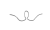 Seabracris cincta cincta (Saussure, 1859): Fig. 225. lophi (type luteotarsata). (Otu).
