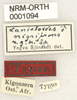 CollectionObject 1530645; 482fa01e-ba8d-4dc2-8a51-66399b3ab053: labels (holotype). (CollectionObject).