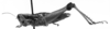 CollectionObject 1505069; aa0a1db7-b0ae-4084-beac-431688a568bc, DORSA D015AF01: Image Carbonell, C.S. female, lateral view (holotype of Eusitalces amazonicus). (CollectionObject).