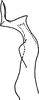 Stylus on Erythridula lyratae (Ross & DeLong, 1953): Stylus. (Observation).