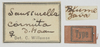 CollectionObject 1581303; afe73456-9a47-492c-8d3f-2191c208ecc2: labels (holotype). (CollectionObject).