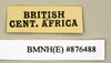 CollectionObject 1572891; cca09f2a-935f-41c8-a71b-875db0925280: Copyright Natural History Museum, London. Labels from non-type (adult male) in BM(NH). (CollectionObject).
