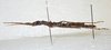 CollectionObject 1580911; fa692c17-b9ee-47fd-8fa7-cd684189d0f9: copyright FRCS, Sabah. female, lateral view (paratype). (CollectionObject).