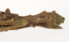 CollectionObject 1557081; ee83db3c-c298-4bfd-97a6-4bf99992b93a: copyright ZMUH, Hamburg. female: end of abdomen, lateral view (syntype). (CollectionObject).;CollectionObject 1557082; 23000b72-56cc-4352-b179-0532f7f9af54: copyright ZMUH, Hamburg. female: end of abdomen, lateral view (syntype). (CollectionObject).;CollectionObject 1557083; 6768d7bd-8771-437c-a457-e6fa230fbd93: copyright ZMUH, Hamburg. female: end of abdomen, lateral view (syntype). (CollectionObject).
