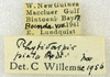 CollectionObject 1588578; a9fc1092-c326-4de0-a4f8-dffc26c18fc9: labels. (CollectionObject).