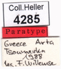 CollectionObject 1536696; bf9293c8-9694-4b52-a62f-2f72b6f373a7: labels (paratype). (CollectionObject).