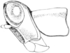 Psychomastax inyo Rehn & Grant, 1959: Fig. 260. male, head and pronotum, lateral view. (Otu).