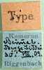 CollectionObject 1501405; 0dcd1c55-c030-41d1-832a-cd455ee18c8b: labels (holotype of Zacompsa festa). (CollectionObject).