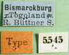 CollectionObject 1501346; dc2e97f1-201e-4bc0-8bc4-a5cc5b372398: labels (holotype of Chirista virgata). (CollectionObject).