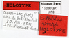 CollectionObject 1566168; MNHN(SF IMPORT DUPLICATE) MNHN-EP-EP1870, b9616365-6e6c-4af6-ac26-a0246de6546d: CC BY-NC-ND 4.0/MNHN - Depraetere Marion - 2014. Holotype, male, of vinzi Maurel, 2012. Specimen number: MNHN-EP-EP1870. http://coldb.mnhn.fr/catalognumber/mnhn/ep/ep1870. (CollectionObject).