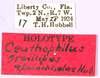 CollectionObject 1499237; 07d5c28e-d50d-45f3-8e0d-a8f79820afec: labels (holotype). (CollectionObject).