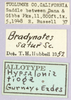 CollectionObject 1499596; 17a03c52-5945-4f7b-9b00-6199432ab85b: labels (allotype). (CollectionObject).