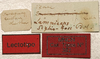 CollectionObject 1535039; ccdfea7a-6a88-4181-9c2e-433e20e4afce: labels (lectotype). (CollectionObject).