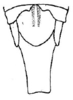 Lemba bituberculata Yin & Liu, 1987: Fig. 9. male abdomen tip, dorsal view. (Otu).