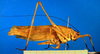 female, lateral view (holotype). Depicts CollectionObject 1500613; 988056b6-7810-4da1-ad32-83d9af9af3df, a CollectionObject.