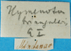 CollectionObject 1552380; 1156fdb0-5449-487a-96e5-33412c9fc4ac: labels. (CollectionObject).