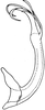 Aedeagus, lateral view on Empoa (Empoides) omani Dworakowska, 1977: Aedeagus, lateral view. (Observation).
