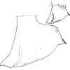 Pygofer appendages on Dipemura bifida Dworakowska, 2011: Pygofer, lateral view. (Observation).