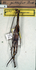 Leprodes gibbifer Redtenbacher, 1906: copyright NMW. female (holotype). (Otu).