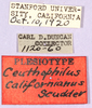 CollectionObject 1499640; 0f7306bb-602f-4367-af01-19a87bbc3b91: labels. (CollectionObject).