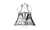 Peplacris recutita Rehn, 1942: Fig. 109. male, head and pronotum, dorsal view. (Otu).