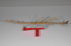 CollectionObject 1562967; 0fec4be1-641c-45a3-808a-6a005e6200d4: copyright ZSMC, Munich. male (holotype), lateral view. (CollectionObject).