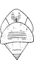 Head: !! display not done !! on Qadria Mahmood, 1967: Head, pro-, and mesothorax (Q. bella Dwor.). (Observation).