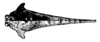 Morphopus phyllocerus (Bolívar, 1887): Fig. 121 (specimen from Ssibange). female, head and pronotum, dorsal view. (Otu).