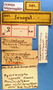 CollectionObject 1530829; e7318ee2-2169-44a7-84f5-5d555339e55d: labels. (CollectionObject).