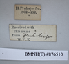 CollectionObject 1573275; 6aa6144f-4438-472d-b44c-97a523ef8355: Copyright NHM, London. Female: data labels, non-type. (CollectionObject).