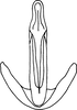 Aedeagus, ventral view: !! display not done !! on Psammotettix cahuilla (Van Duzee, 1925): from RiverSide, California. (Observation).