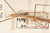 CollectionObject 1559636; ca476925-de17-4b88-8d55-8a256e3ae29f: copyright OUMNH. female: head & thorax of synonym Bacillus aspericollis (holotype). (CollectionObject).