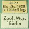 CollectionObject 1501917; 023e9587-ad50-484a-b1c1-76b9b2755832: labels. (CollectionObject).