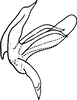 Aedeagus, lateral view on Elbelus wierzbowskae Dworakowska, 1972: Aedeagus, lateral view. (Observation).