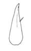 Ceuthophilus (Geotettix) nodulosus Brunner von Wattenwyl, 1888: Fig. 354. subdistal cephalic spur of caudal tibia (gracilifemoral, Pueblo, CO). (Otu).