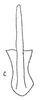 Aedeagus, ventral view: Aedeagus, ventral view. (Observation).