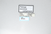 CollectionObject 2856571; CNCI 981403, 449fa0a1-d4c2-48e1-9b3a-1b01ed056b3c: Patanga succincta. (CollectionObject).