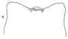 Ovipositor: !! display not done !! on Exitianus obscurinervis (Stål, 1859): Sternite VII. (Observation).