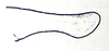 Pagdenia rufipes Miller, 1934: Fig. 9 D. male cercus. (Otu).