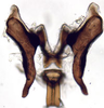 Connective: Euscelis seriphidii, connective, stylus, and aedeagus, ventrally (INHS). (Observation).