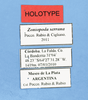 CollectionObject 1514197; 6dfb9c6b-ea87-4f92-92cb-975b049599f9: labels (holotype). (CollectionObject).