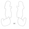 Stylus: !! display not done !! on Pentastiridius habeckorum (Mead & Kramer, 1982): (Observation).