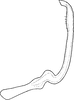 Stylus: !! display not done !! on Hephathus freyi (Fieber, 1868): Stylus. (Observation).