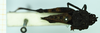 CollectionObject 1587065; a6f3e888-3f1e-4750-9998-c02015bf5842, NHMUK010924792: female, dorsal view (Paratettix scaber var. ugandensis). (CollectionObject).