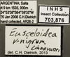 Other: !! display not done !! on Eusceloidia v-nigrum Linnavuori, 1954: Labels. Labels for images of dorsal, lateral and Face views. (Observation).