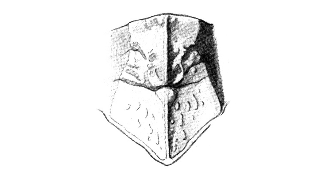 Fig. 33A. pronotum, dorsal view. Depicts Hippiscus ocelote (Saussure, 1861), an Otu.