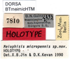 CollectionObject 1500664; 2f10ae50-f1f5-40d3-872a-49f8aa6213db: male labels (holotype). (CollectionObject).