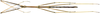 CollectionObject 1584178; bfb6ebc6-7cb9-4313-9a6e-0de3f5cdda5b: copyright RBINS, Brussels. male, ventral view (holotype). (CollectionObject).